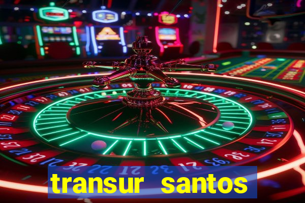 transur santos dumont x juiz de fora 2024